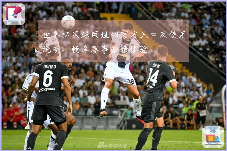 世界杯买球网址的官方入口及使用说明，畅享赛事激情体验