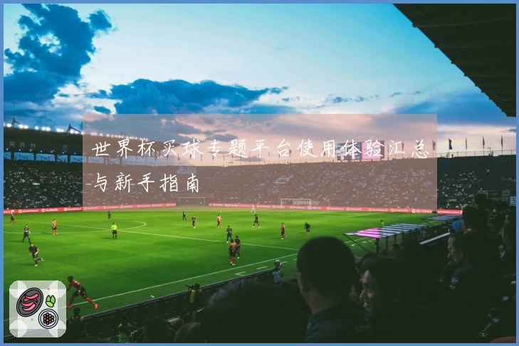 世界杯买球专题平台使用体验汇总与新手指南