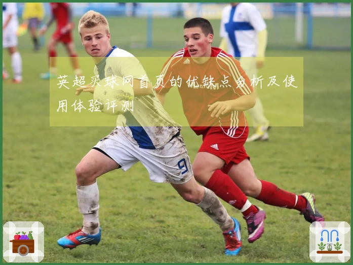 英超买球网首页的优缺点分析及使用体验评测