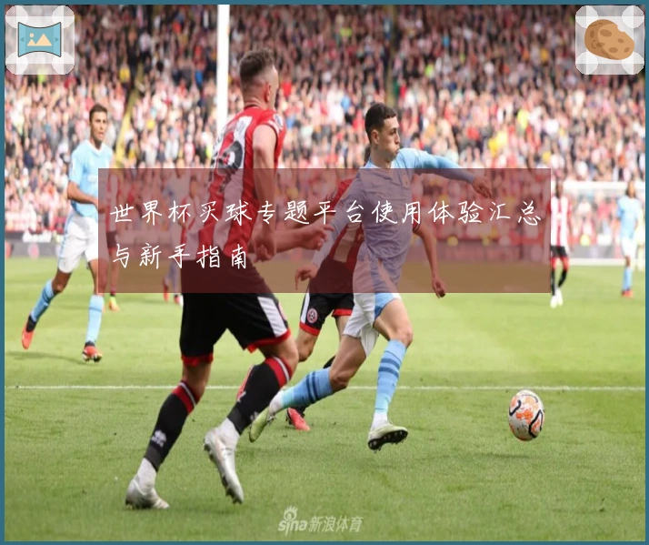 世界杯买球专题平台使用体验汇总与新手指南