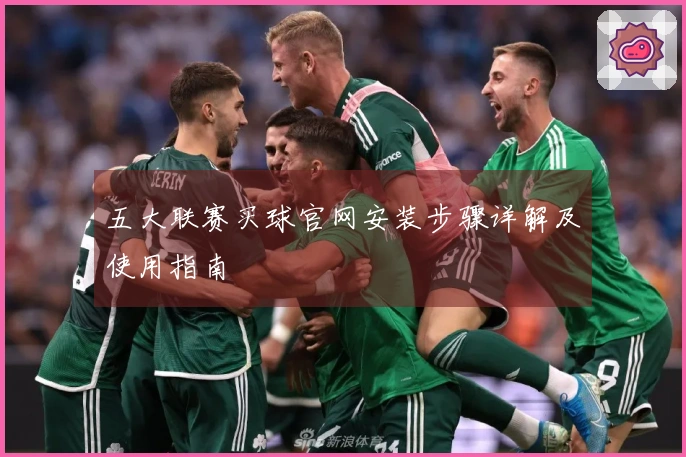 五大联赛买球官网安装步骤详解及使用指南