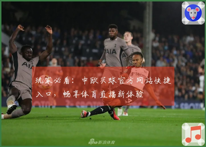 玩家必看：中欧买球官方网站快捷入口，畅享体育直播新体验