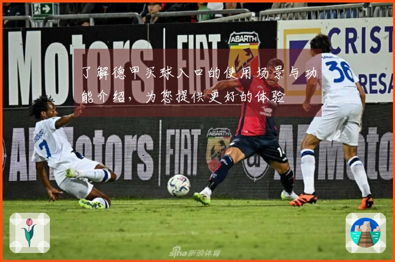 了解德甲买球入口的使用场景与功能介绍，为您提供更好的体验