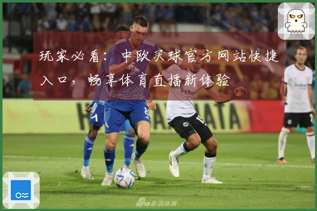 玩家必看：中欧买球官方网站快捷入口，畅享体育直播新体验